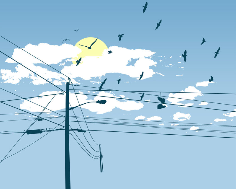 Birds flying over power lines
