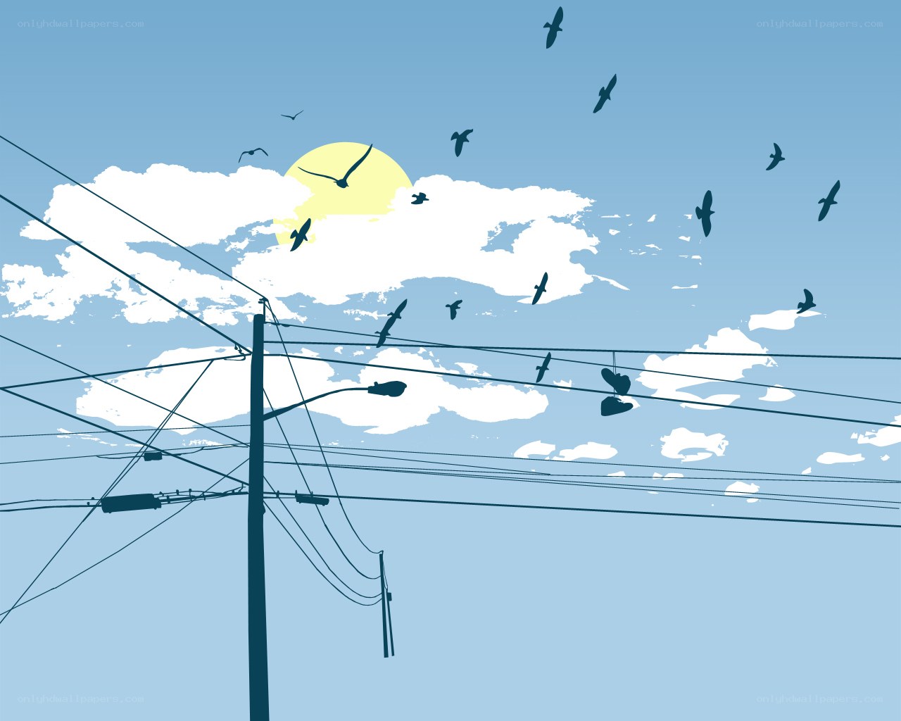 Birds flying over power lines