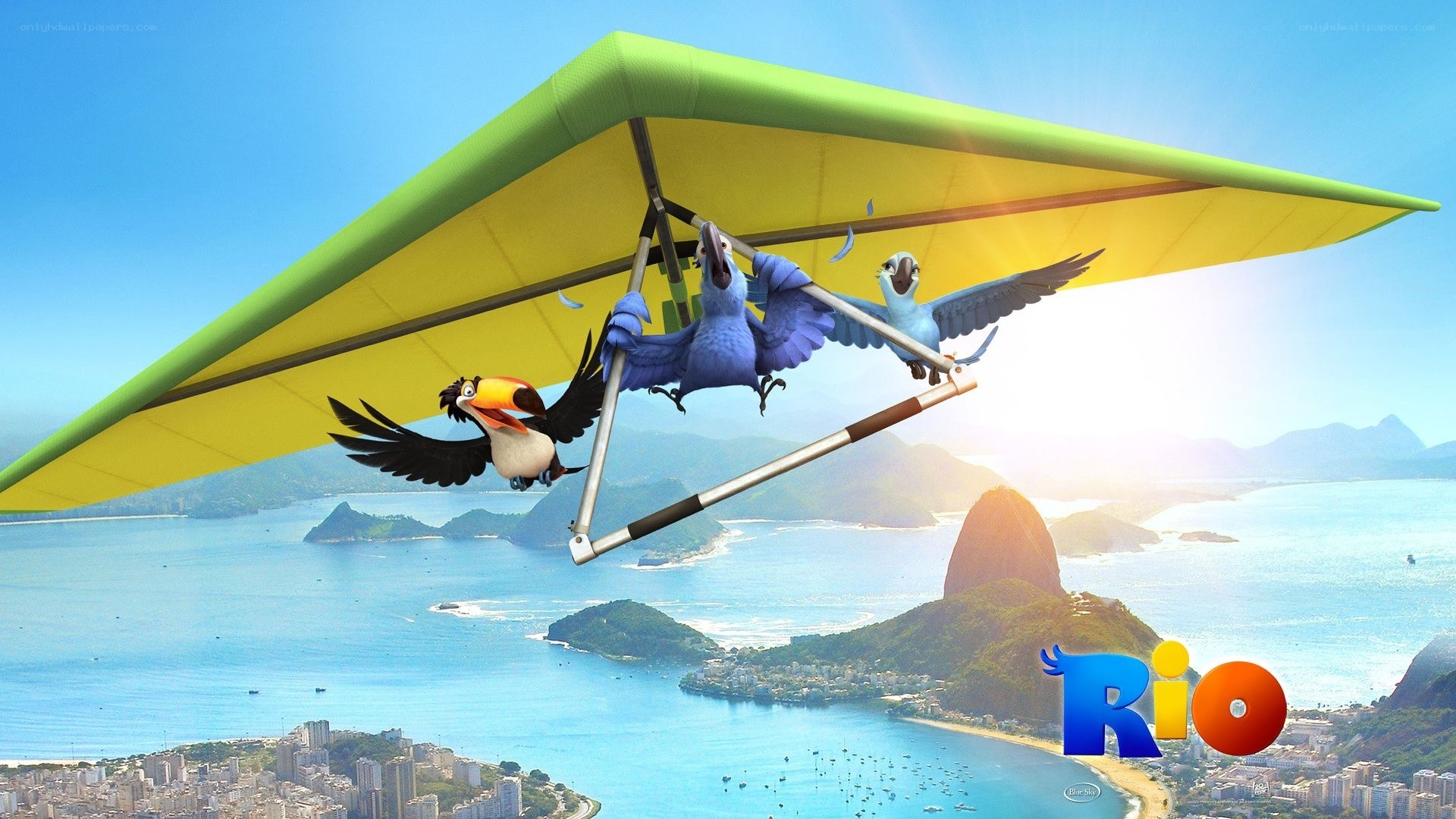 Birds flying over Rio