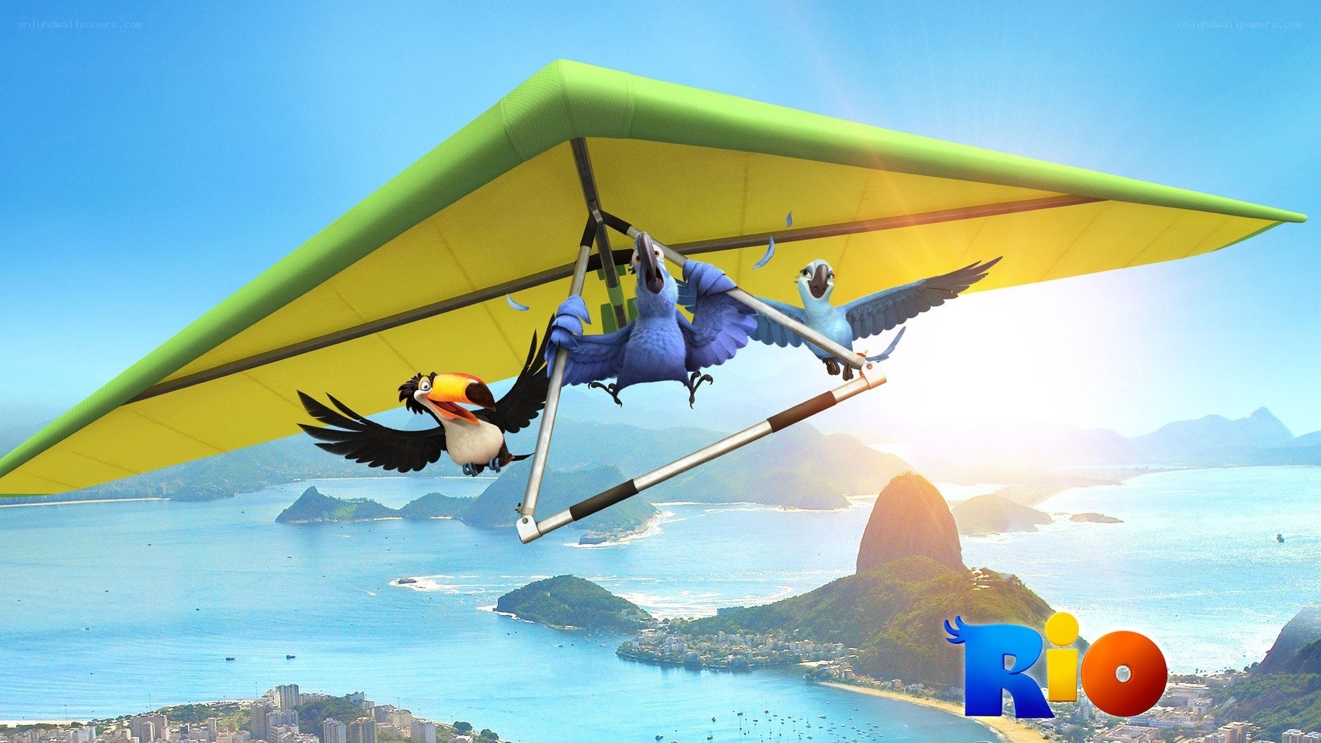 Birds flying over Rio