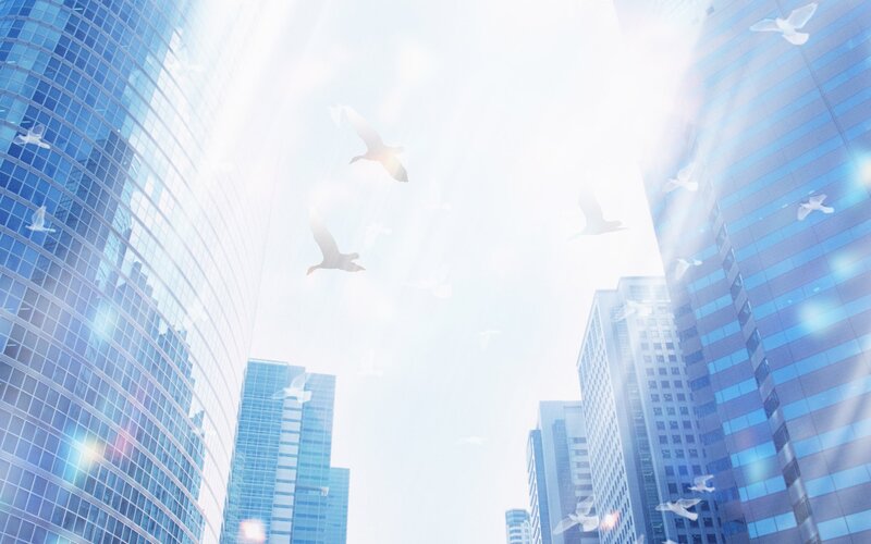 Birds Flying over Skyscrapers — Blue