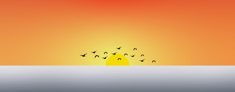 Birds Flying over Sun — Orange