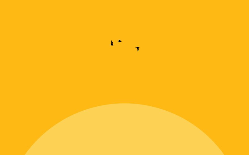birds flying over sun