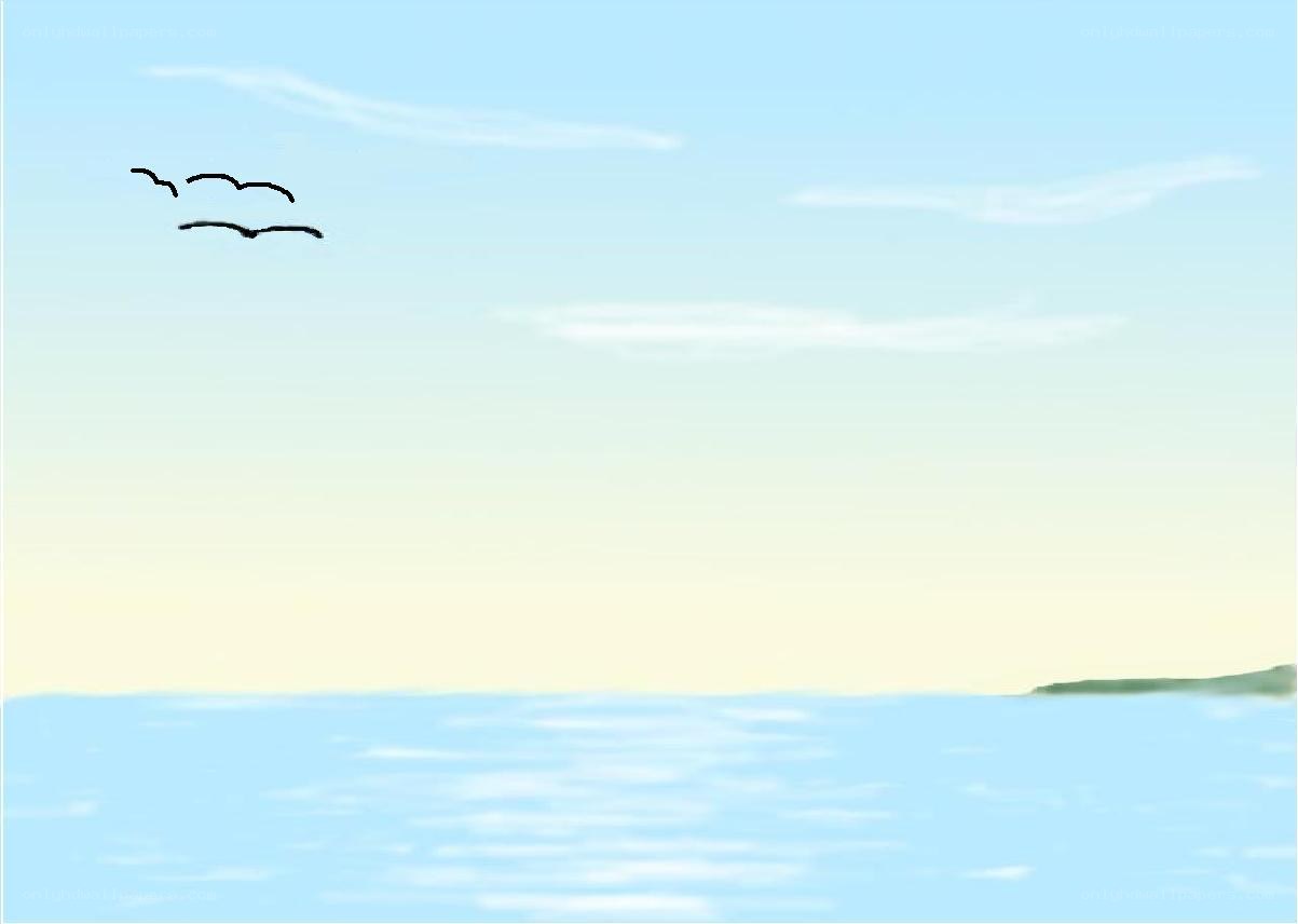 birds flying over the sea