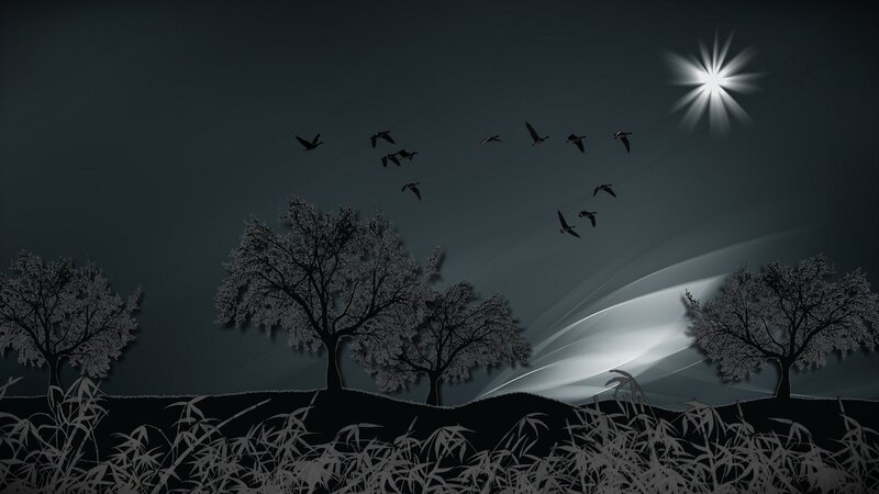 Birds Flying over Trees — Black