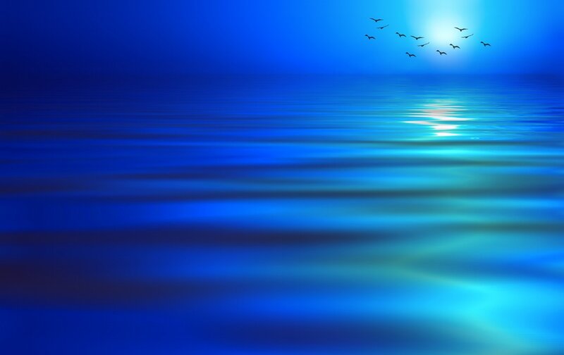 Birds Flying over Water — Blue, Serene