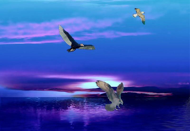 Birds Flying over Water — Blue