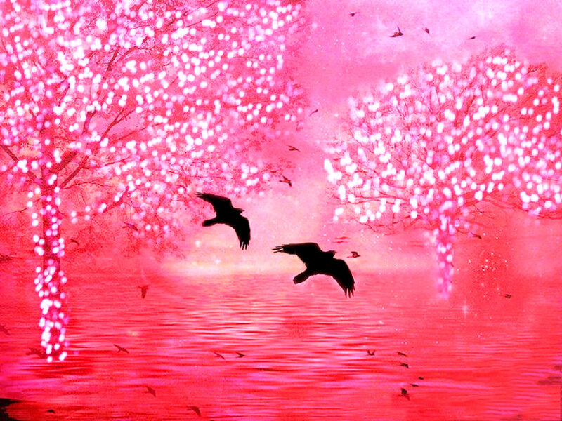 Birds Flying over Water — Pink