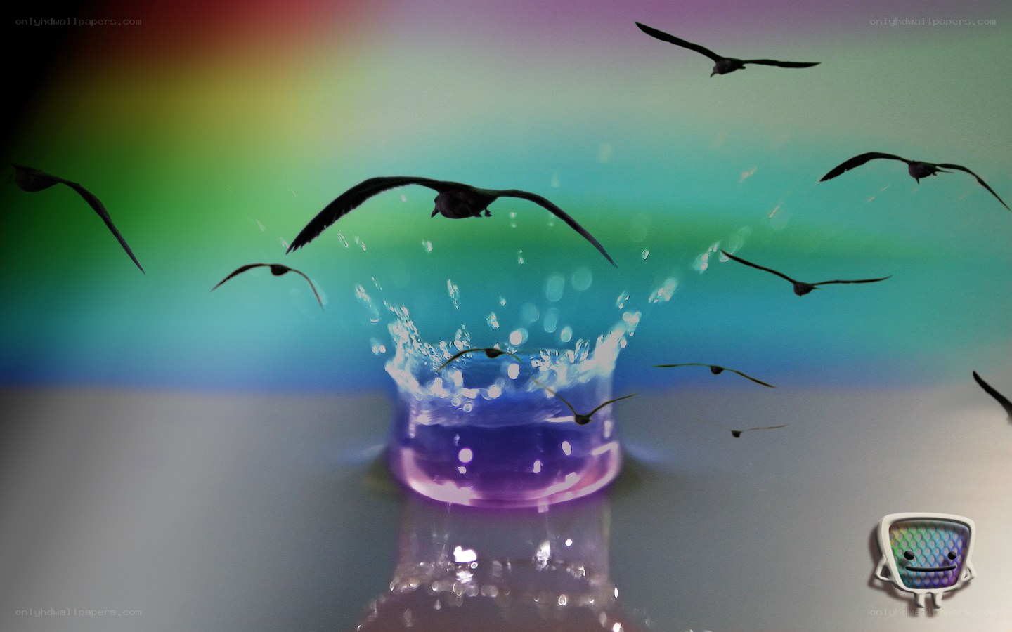 birds flying over water splash