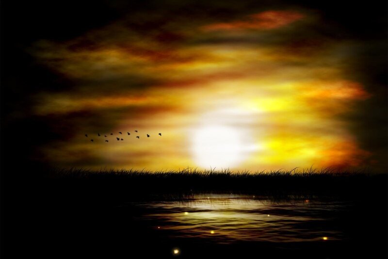 Birds Flying over Water — Yellow