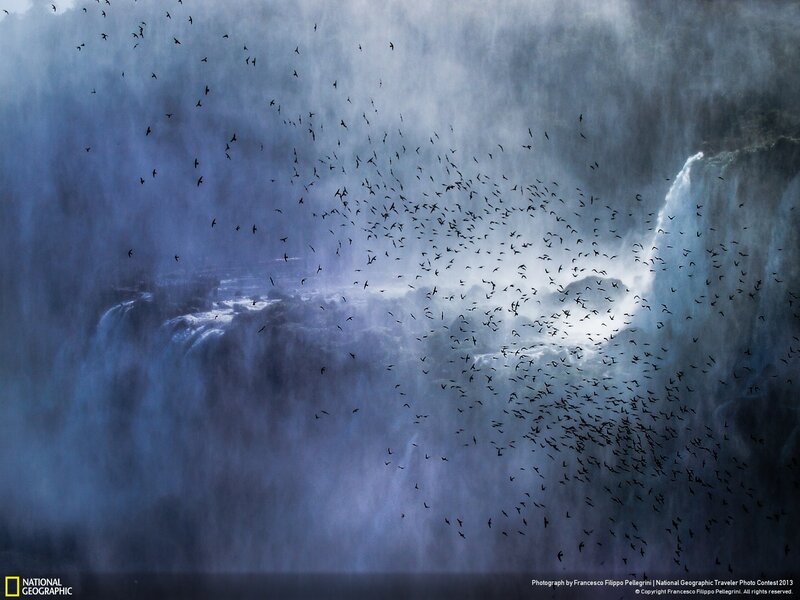 Birds Flying over Waterfall