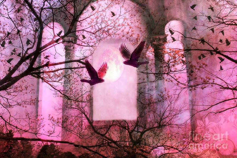 Birds Flying Through Arches