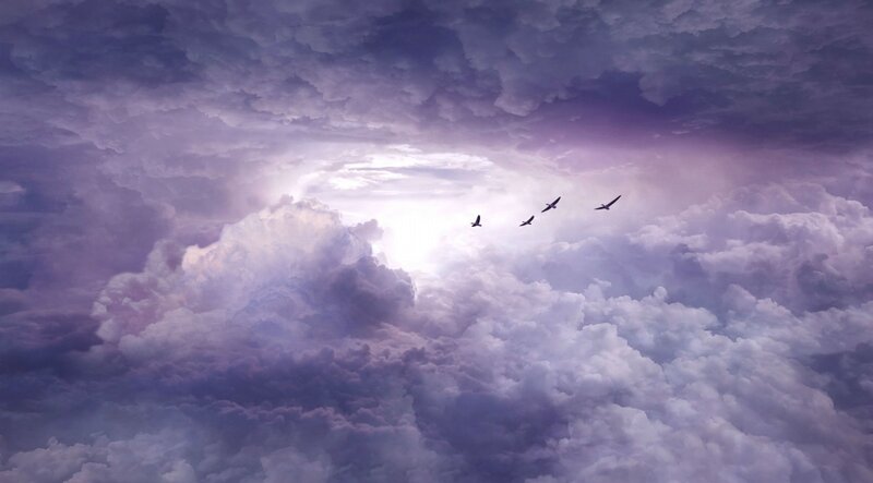 Birds Flying Through Clouds — Purple