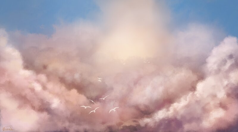 Birds flying through clouds