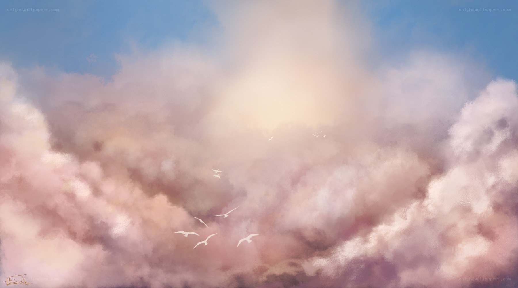 Birds flying through clouds