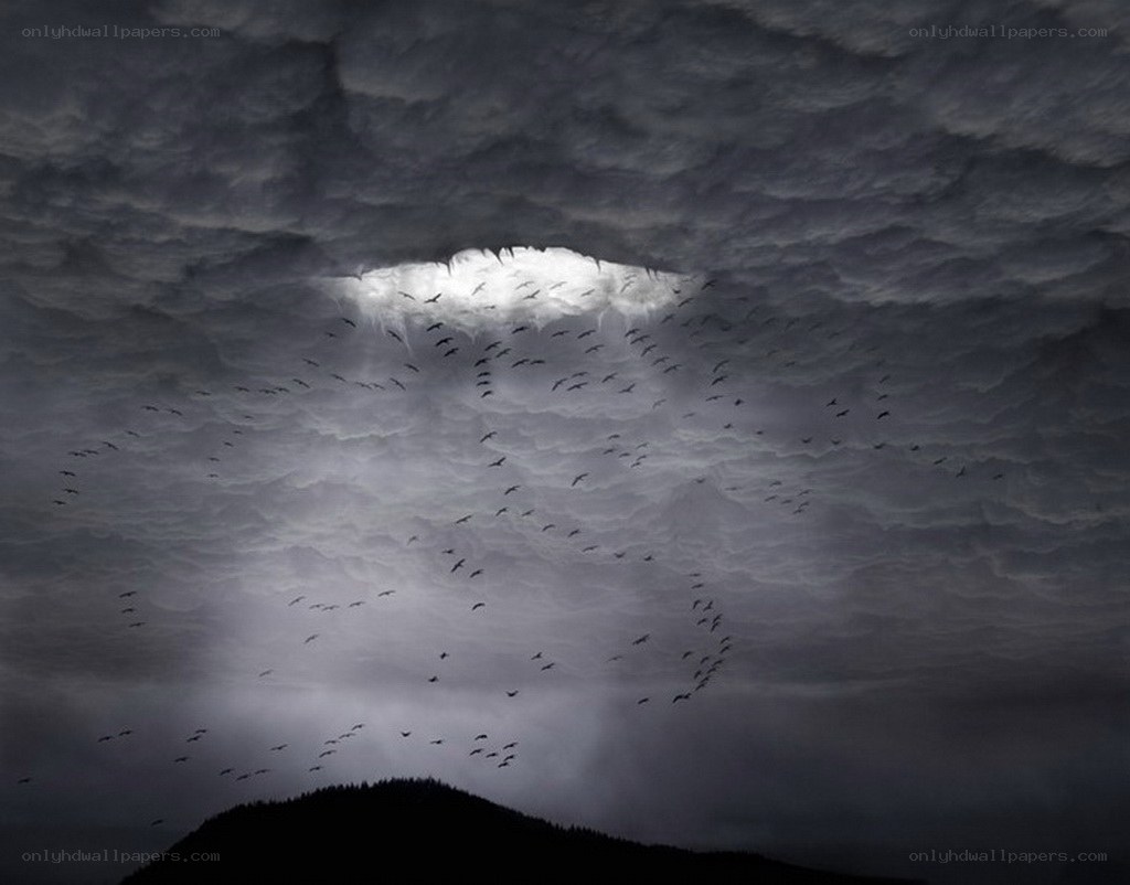 Birds flying through storm clouds