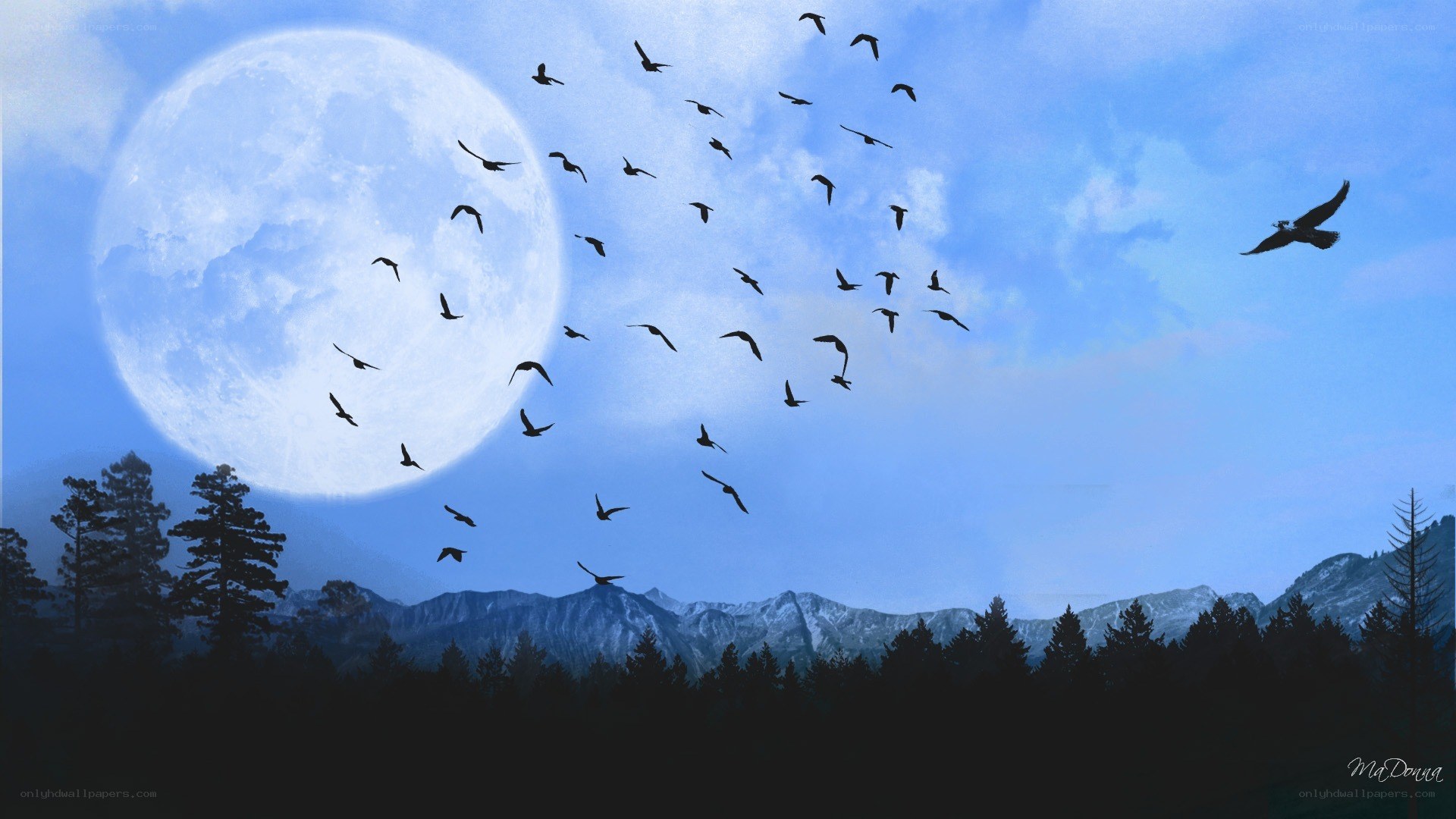 Birds flying under a full moon