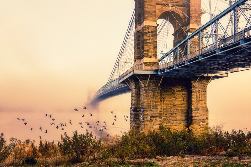 Birds Flying under Bridge
