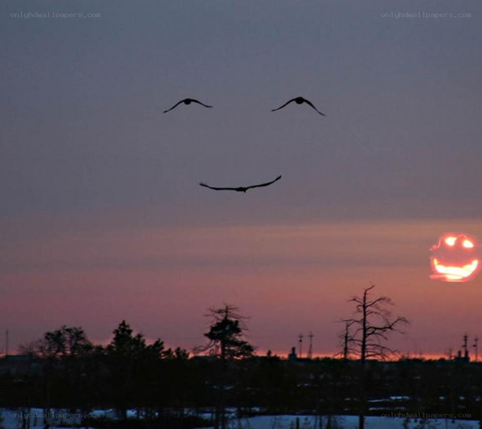 birds form a face at sunset