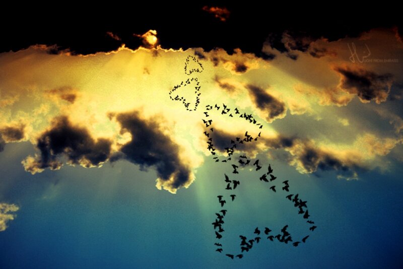 Birds Forming a Heart