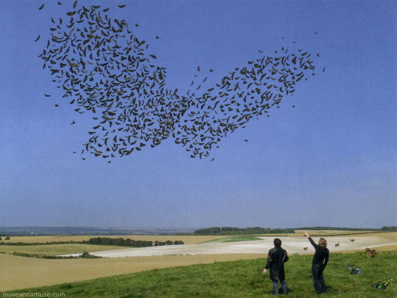 Birds Forming Heart Shape — Blue