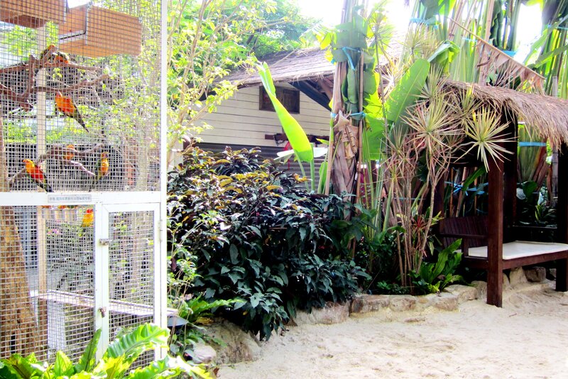 Birds in a Cage — Green, Tropical