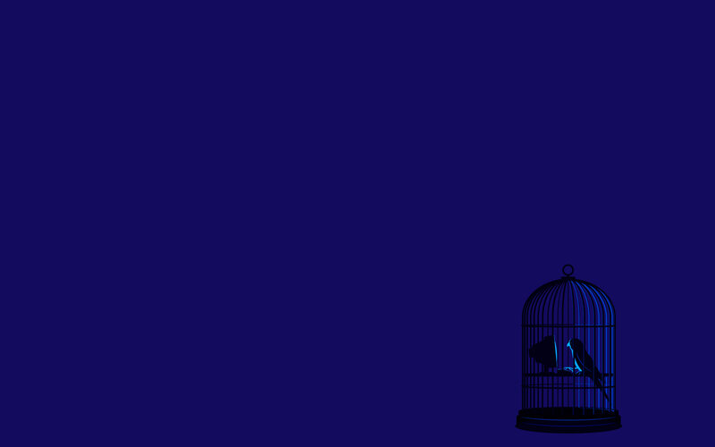 Birds in a cage