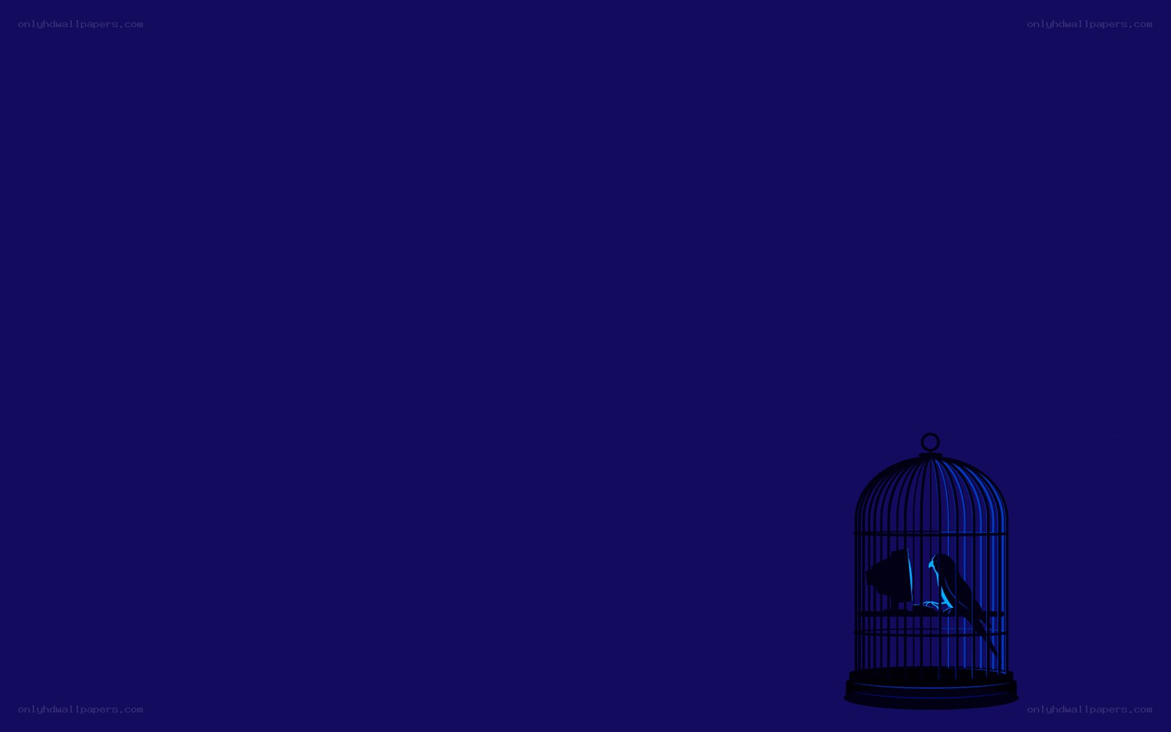 Birds in a cage