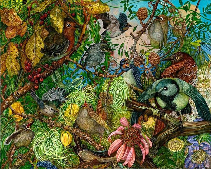 Birds in a Forest