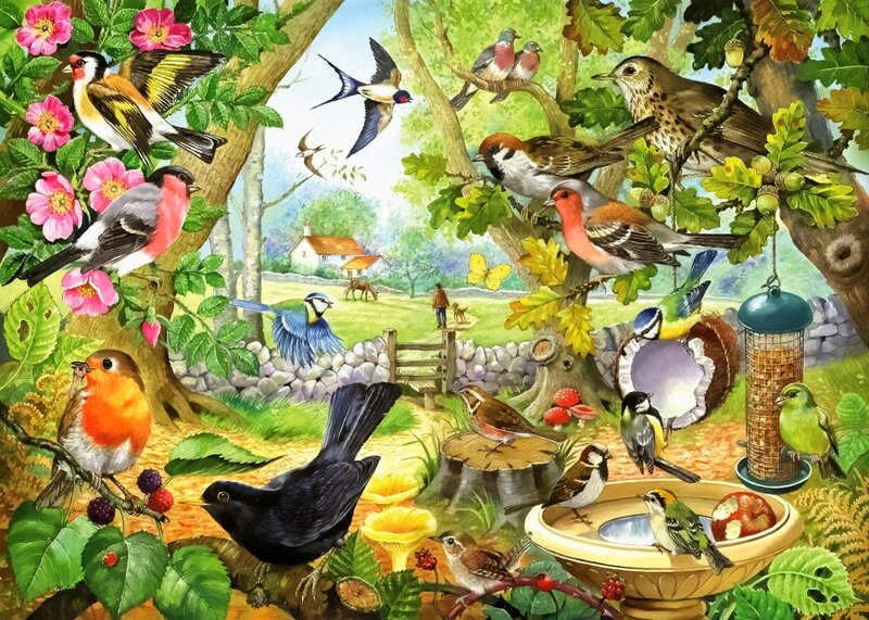 Birds in a Garden — Green, Serene