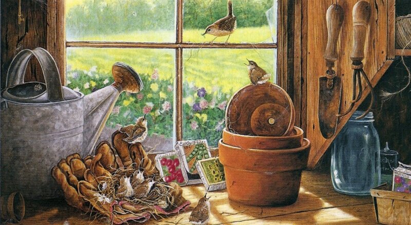 Birds in a Garden Shed