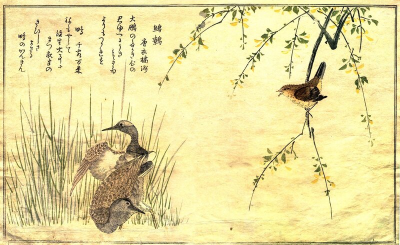 Birds in a Japanese painting