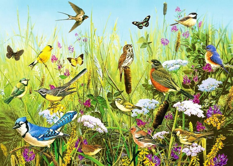Birds in a Meadow — Green