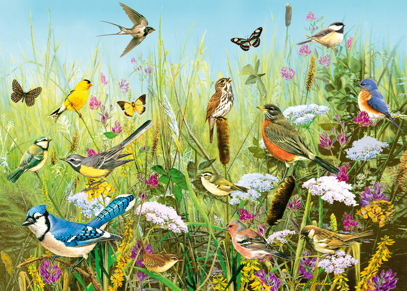 Birds in a Meadow