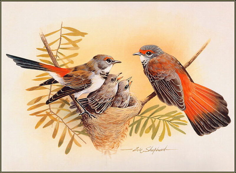 Birds in a Nest — Brown