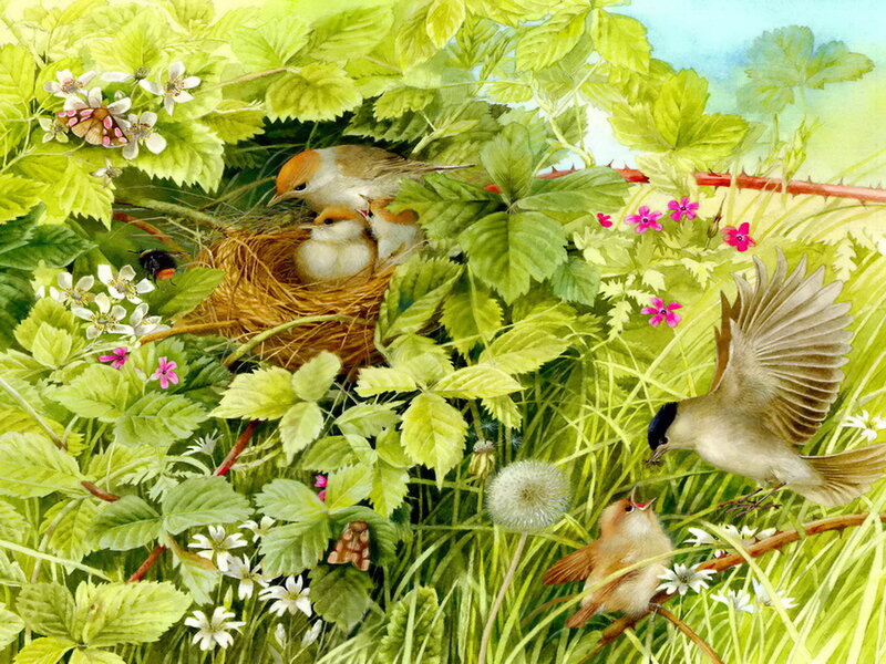 Birds in a Nest — Green, Serene