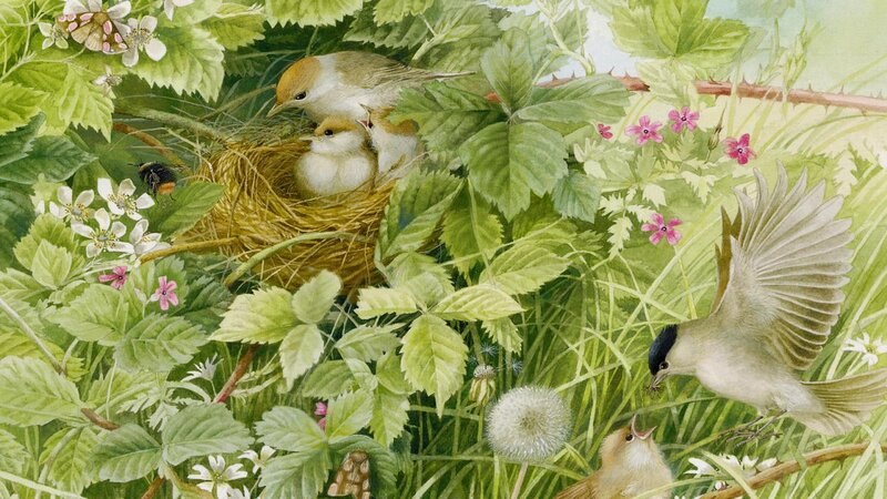 Birds in a Nest — Green