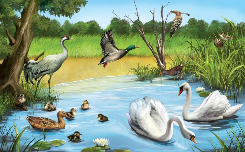 Birds in a Pond — Blue