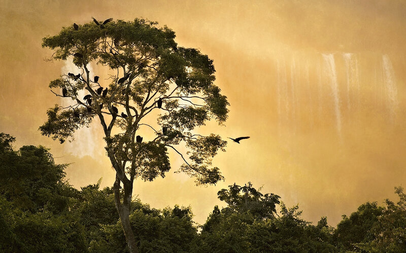 Birds in a Tree — Green