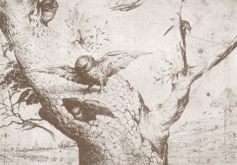 Birds in a tree sketch