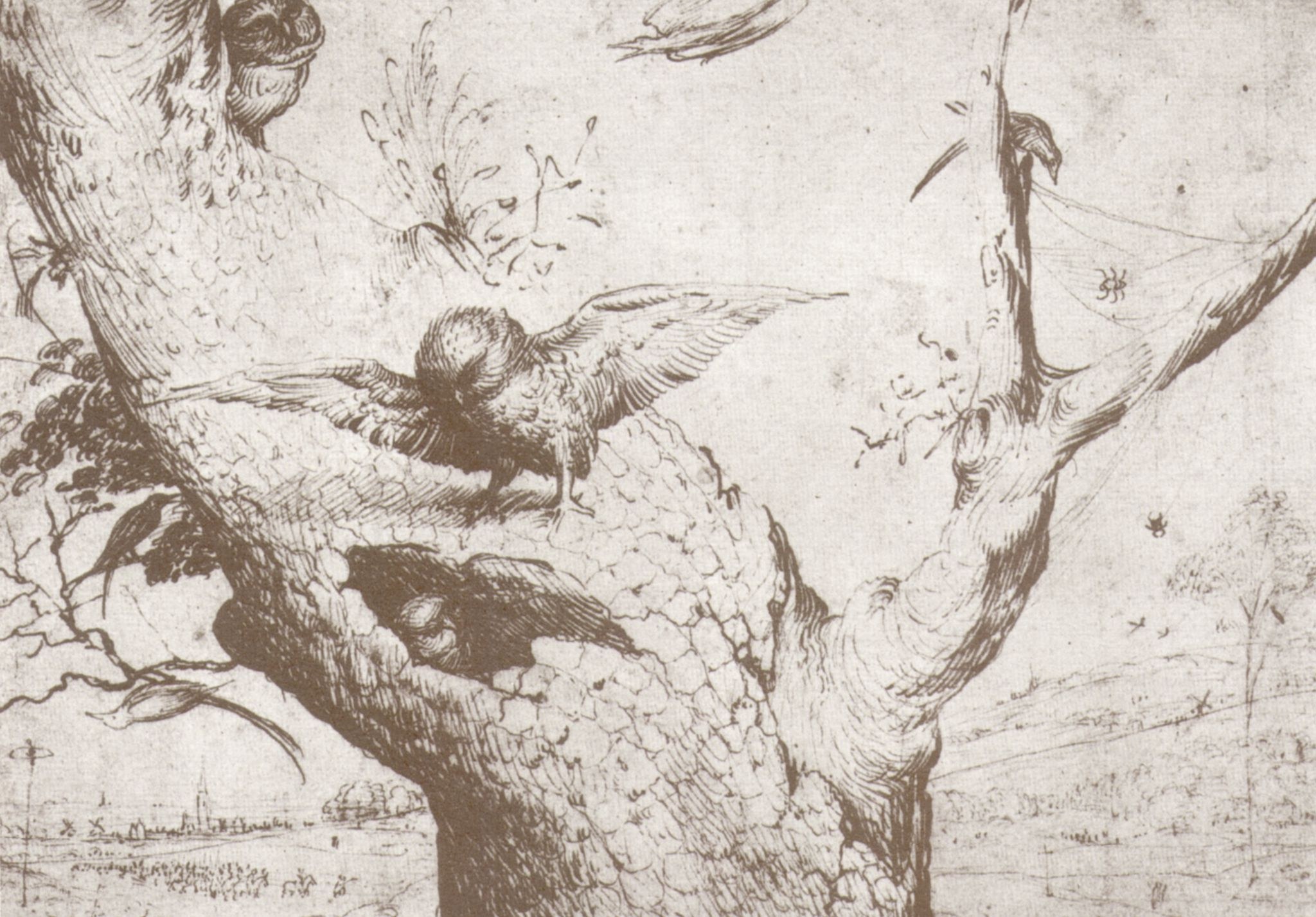 Birds in a tree sketch