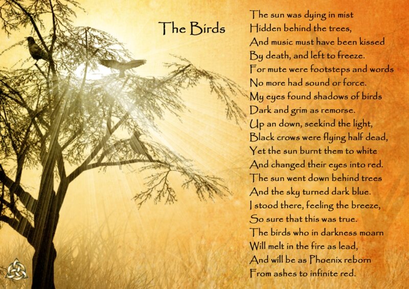 Birds in a Tree