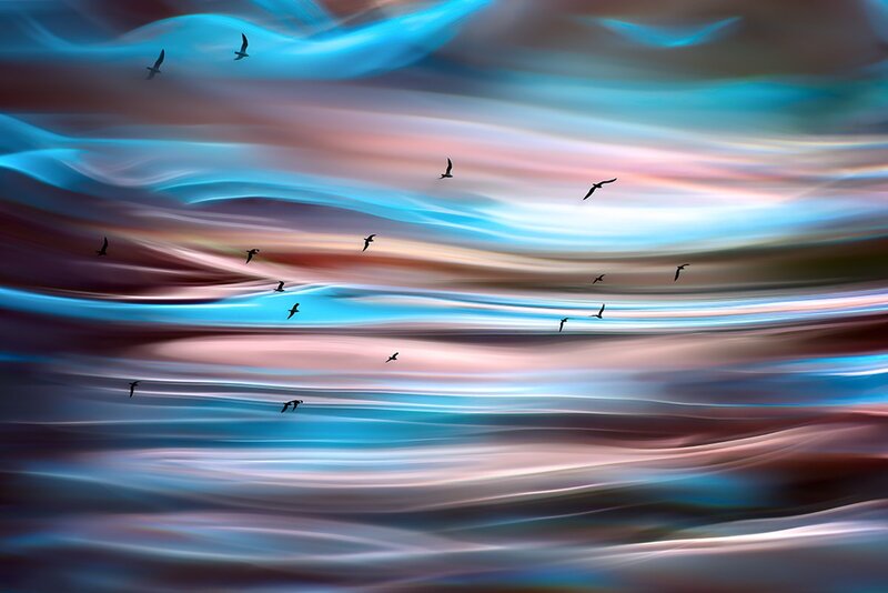 Birds in Colorful Sky
