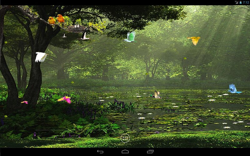 Birds in Forest Pond