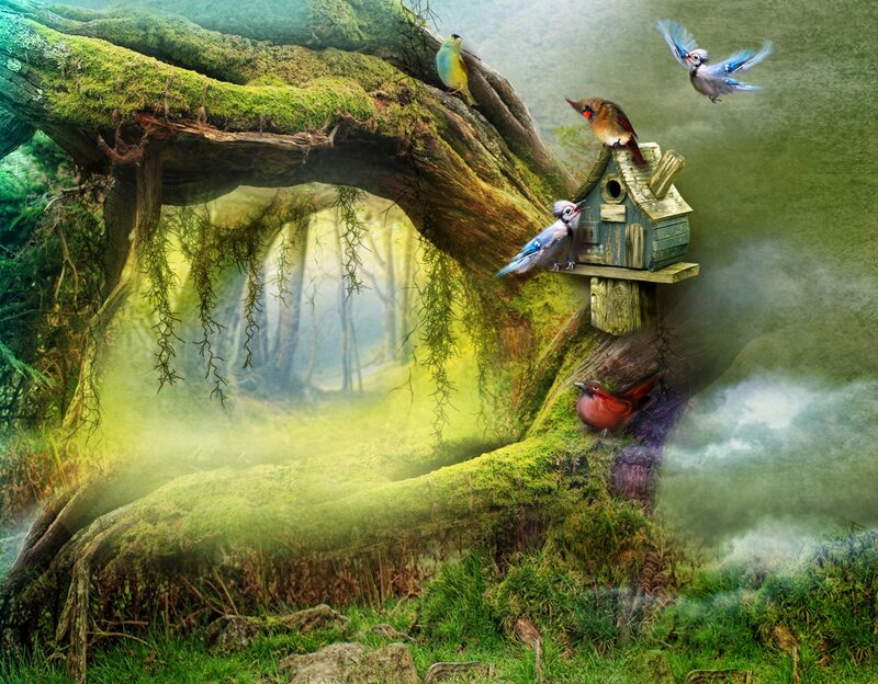 Birds in Forest Scene