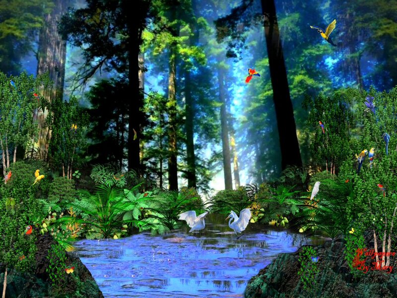 Birds in Forest Stream