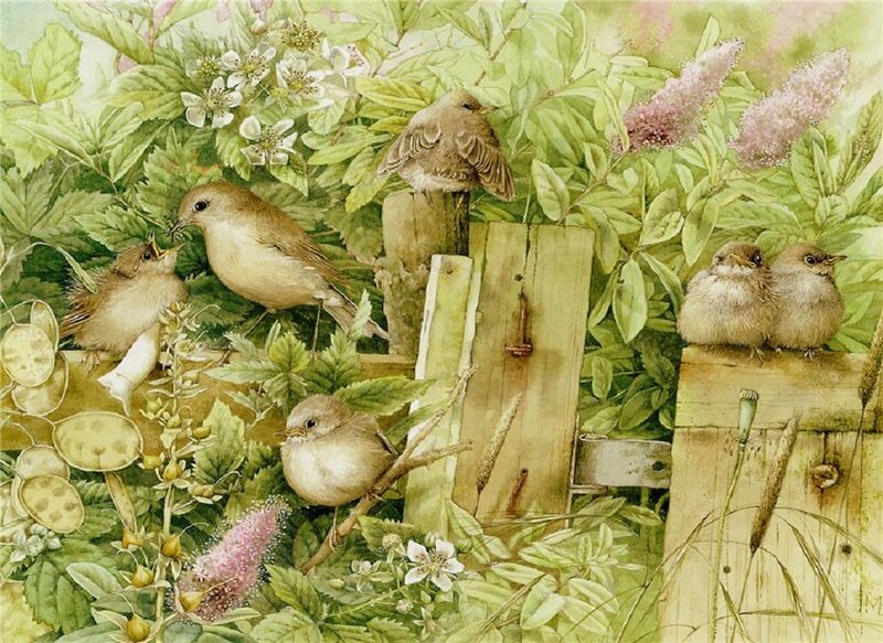 Birds in Garden Foliage