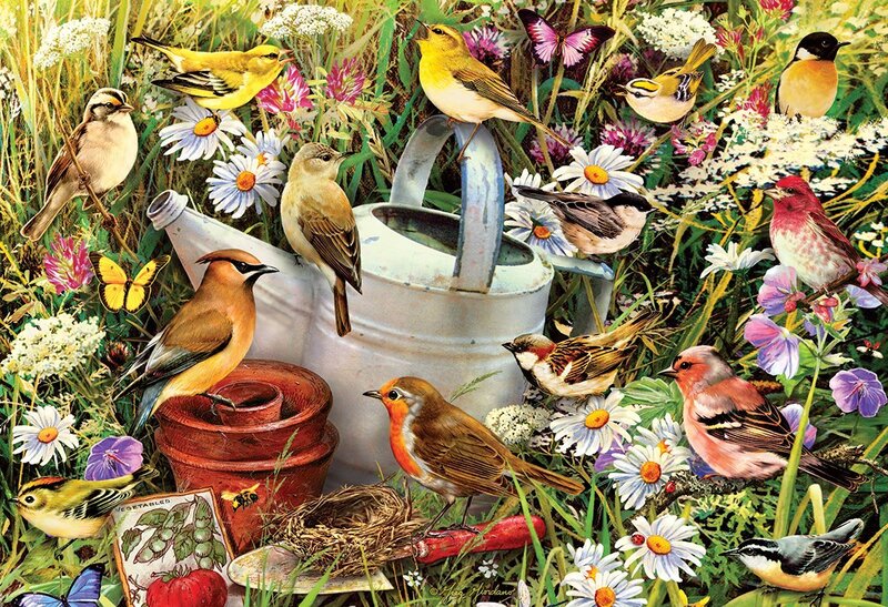 Birds in Garden — Green, Lively
