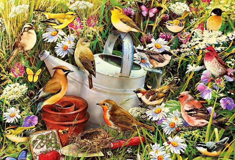 Birds in Garden — Green, Peaceful