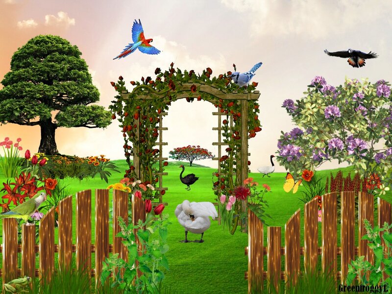 Birds in Garden — Green, Serene, Afternoon